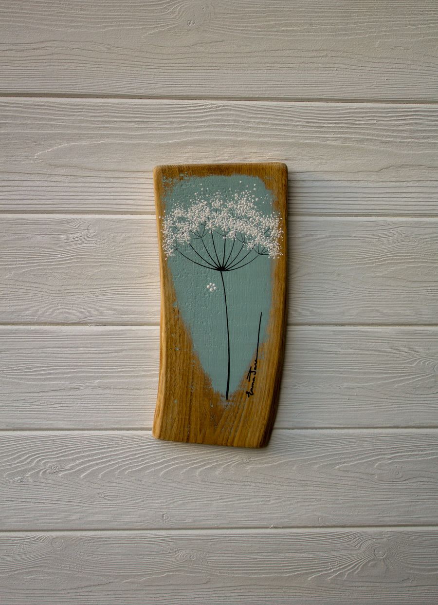 Small Cow Parsley fine flower head soft turquoise blue live edge wood
