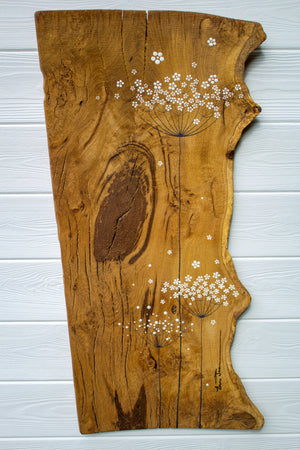 Large Cow Parsley Large Flower head Natural Live Edge Wood