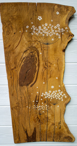 Large Cow Parsley Large Flower head Natural Live Edge Wood