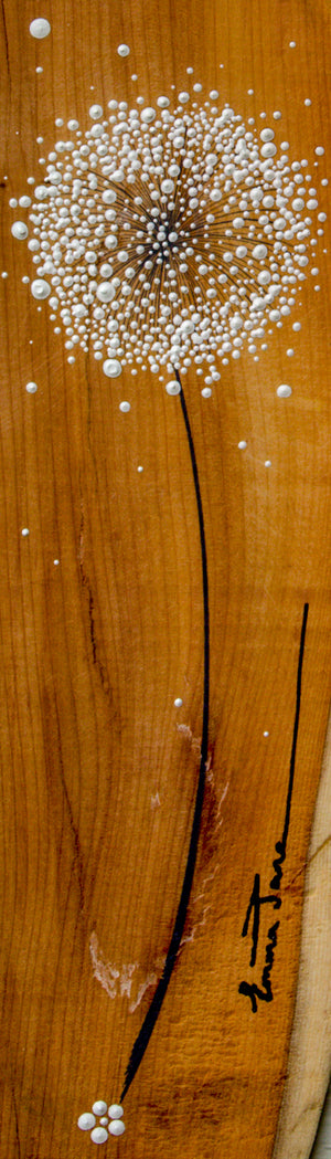 Small Dandelion  head natural live edge wood