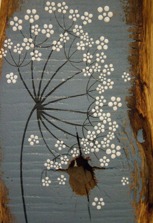 Small cow parsley large flower head grey blue reclaimed wood painting closer up