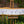 XXL Agapanthus white live edge wood painting outside