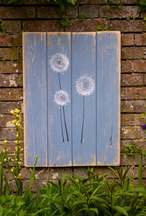 Dandelions soft grey blue / light grey reclaimed wooden boards painting outside