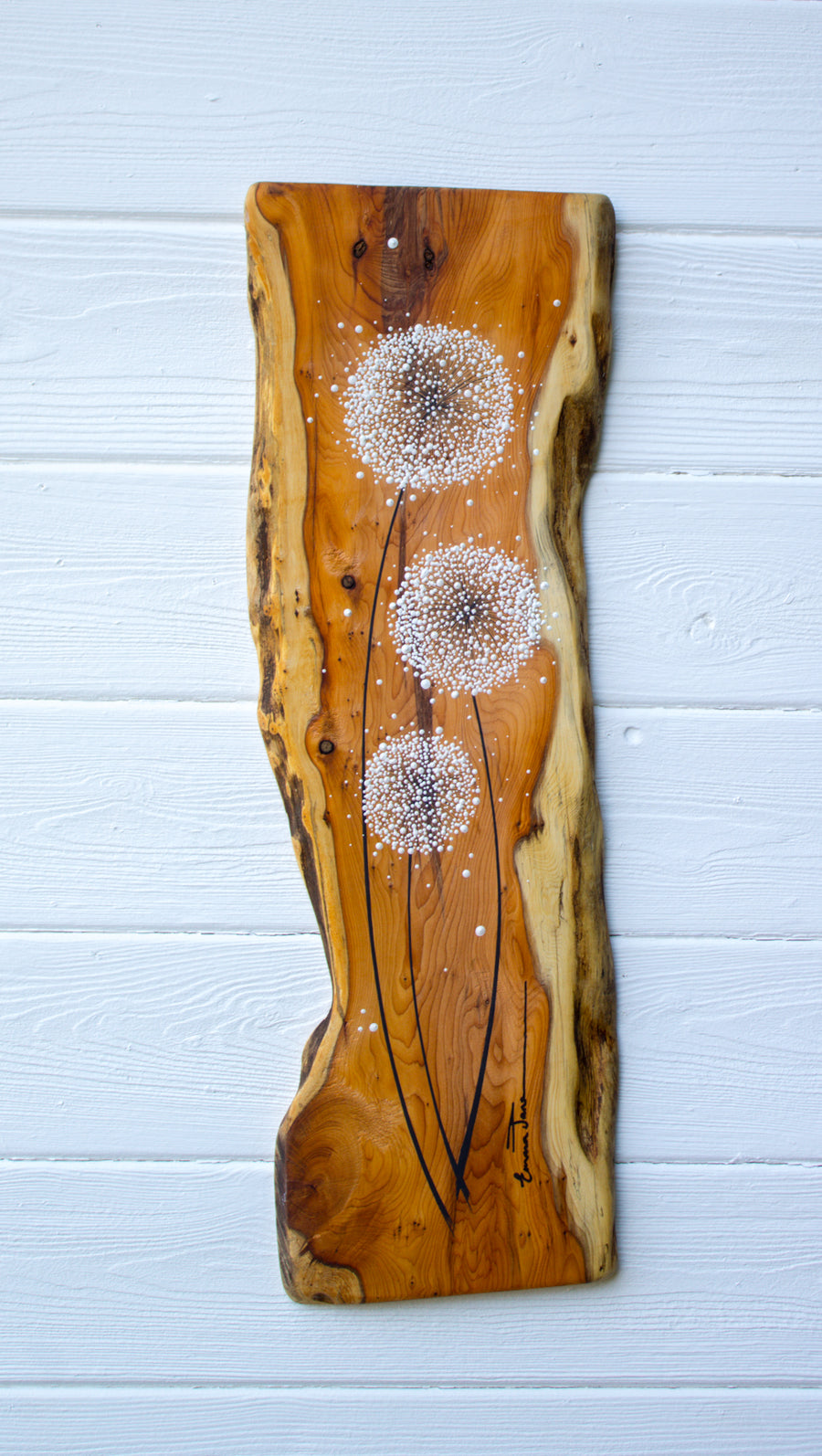 Large Dandelion Natural Reclaimed Yew